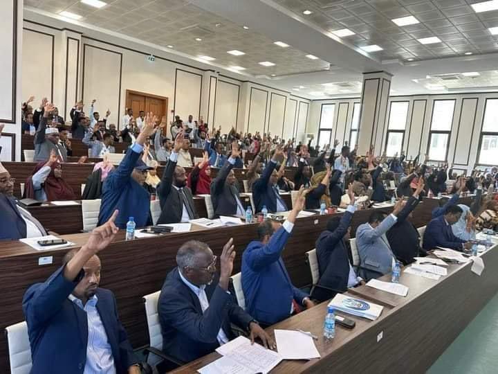 Somalia’s parliament makes a step toward constitutional reform