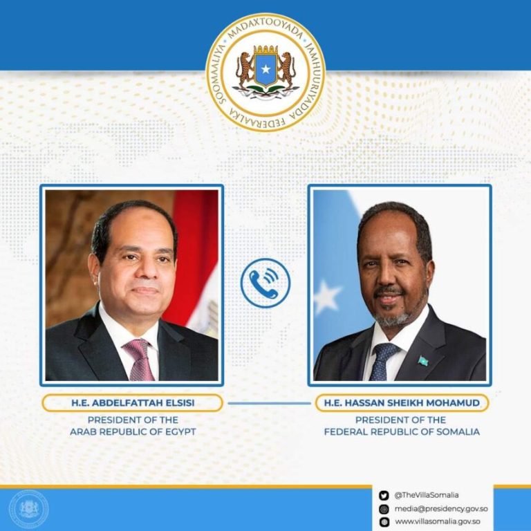 Egypt and Somalia promise to increase collaboration amidst regional unrest.