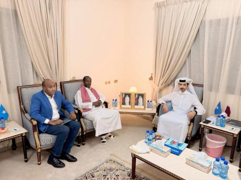 Mogadishu and Doha will become sister cities following a meeting between Somali and Qatari authorities.