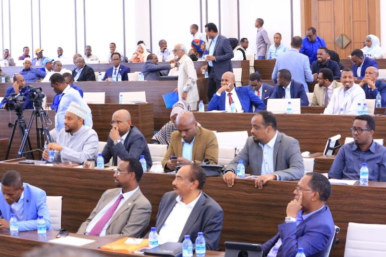 The Federal Parliament continues to debate the second chapter of the constitution.