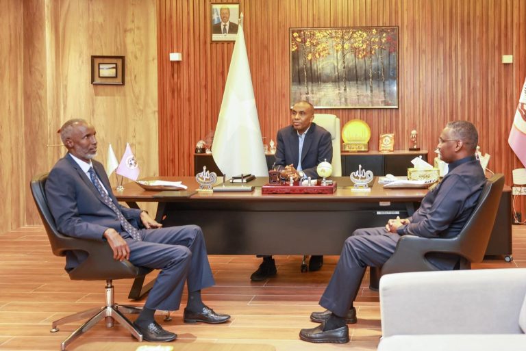 Prime Minister Hamza inspects the Somali Police and NISA.