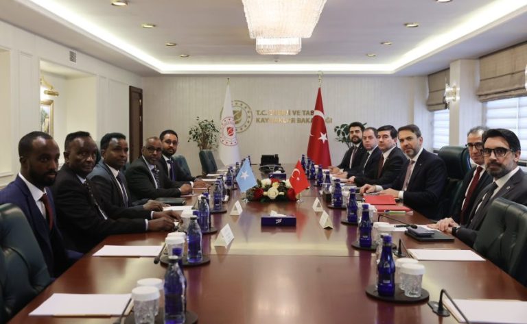 Somalia and Turkey debate oil and gas cooperation.