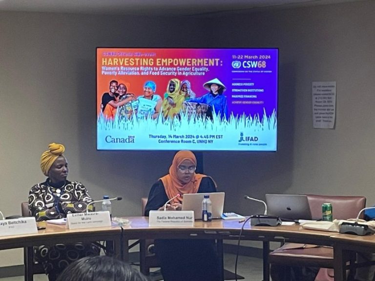 Somalia Leads Empowerment at UN Summit, with Focus on Resource Access.