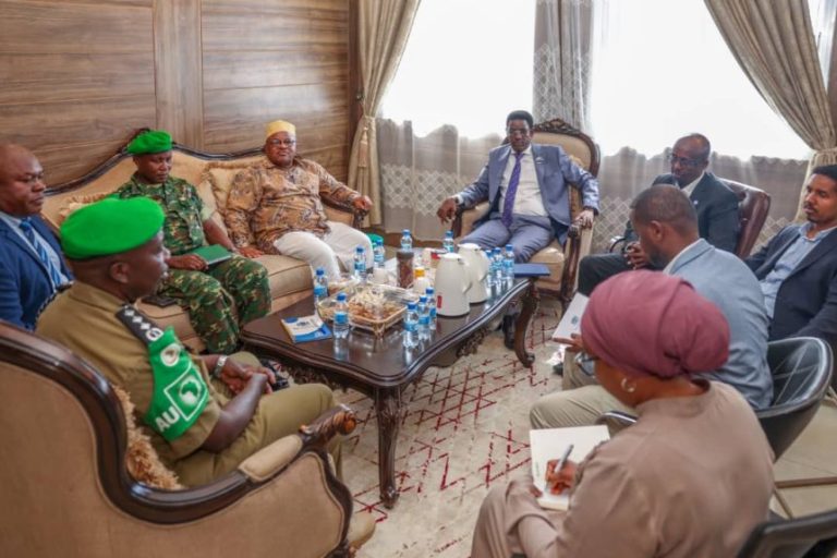 Minister of Internal Security receives the head of ATMIS.