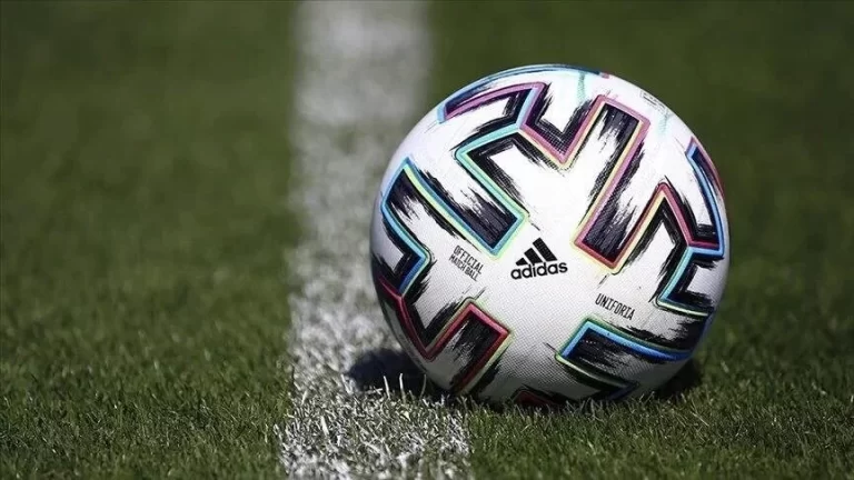 English Premier League teams spend more than half billion dollars on football agents.