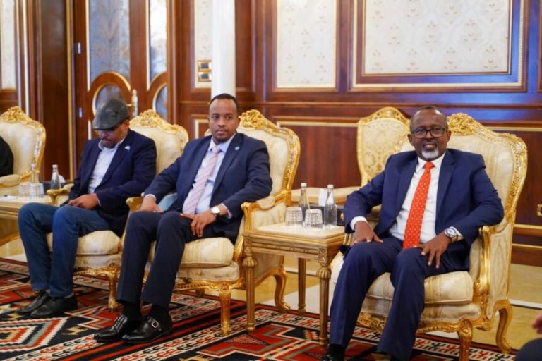 Somalia and Libya strengthen their bilateral ties.