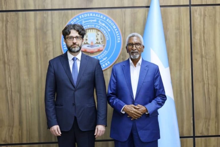 Upper-House Chairman Receives Turkish Ambassador to Somalia