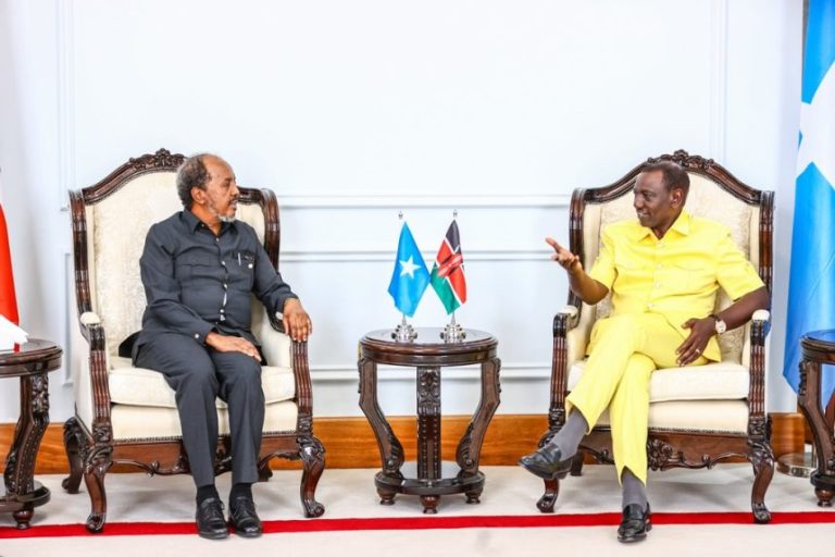 President Hassan Sheikh meets with his Kenyan counterpart.