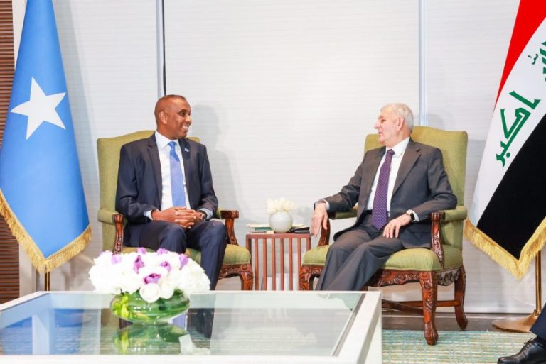 Leaders of Somalia and Iraq spoke on counterterrorism and bilateral ties during the Arab League summit.