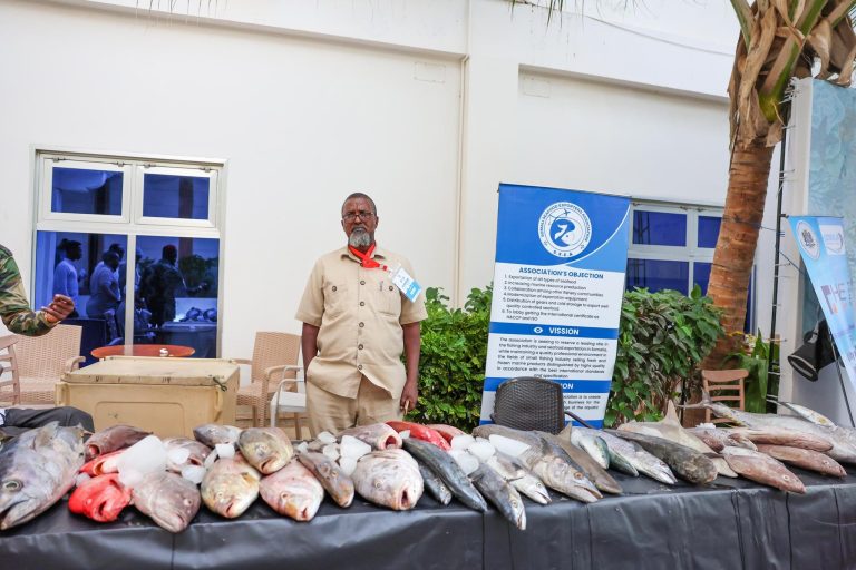 Somali fishing week starts in Mogadishu.