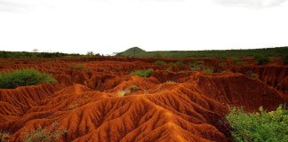 Rapid Soil Degradation in Africa