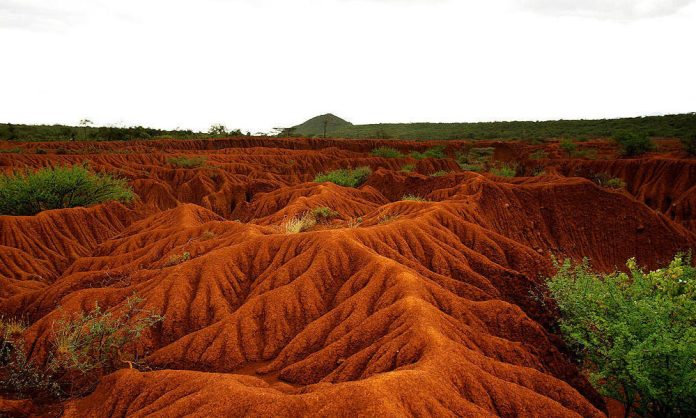 Rapid Soil Degradation in Africa