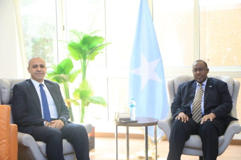 Somalia’s ambassador to Egypt receives congratulatory message from President Al-Sisi.