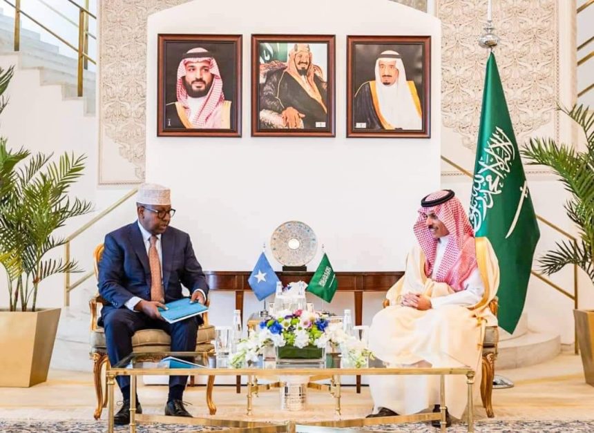Saudi, Somali Foreign Ministers Hold Talks to Strengthen Ties and ...