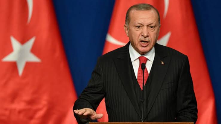 Erdogan Offers Mediation in Sudan, UAE Dispute Amid Ongoing Conflict