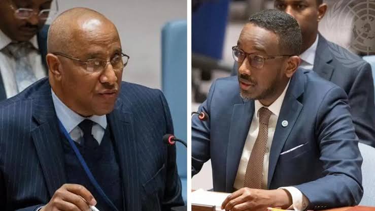 Somalia Excludes Ethiopia from New Peacekeeping Mission Following Asmara Visit