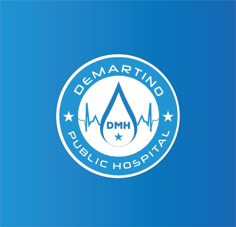 The 2024 Annual Performance Report of Demartino Public Hospital