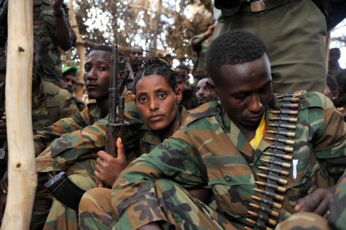 renewed military campaign against the militant group al-Shabaab.