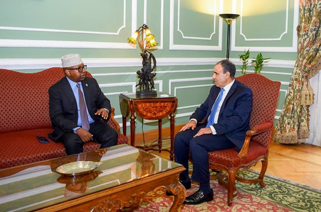 Egypt Committed to Stability and Development in Somalia