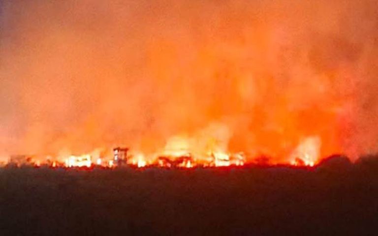 Wildfire Erupted Near JKIA, Prompting Swift Emergency Response
