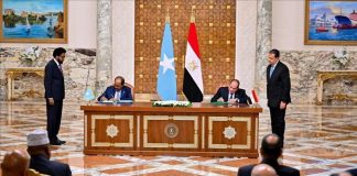 Egypt Committed to Stability and Development in Somalia