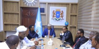 Qatar and Somalia Discuss Energy Cooperation
