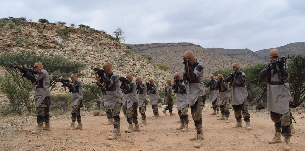 Major Military Operation in Northeastern Somalia Eliminates 40 ISIS Members