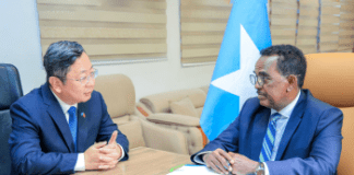 China and Somalia Deepen Ties in Key Meeting Between Ambassador Wang Yu and Minister Ali Yusuf Ali (Hosh)