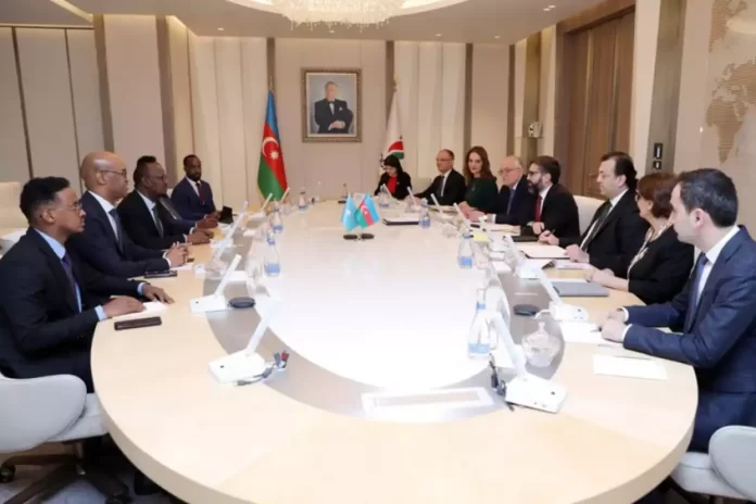 Azerbaijan's SOCAR Explores Cooperation with Somalia in Oil and Gas Sector