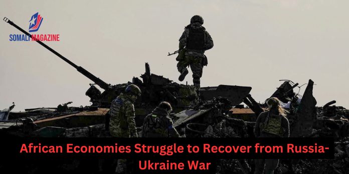 African Economies Struggle to Recover from Three-Year Russia-Ukraine War