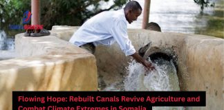Revitalized Canals Empower Somalia's Farmers to Battle Drought and Flooding