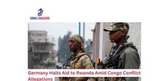 Germany Halts Aid to Rwanda Amid Congo Conflict Allegations