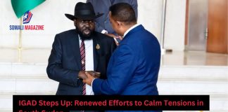 IGAD Steps Up to Ease Rising Tensions in South Sudan