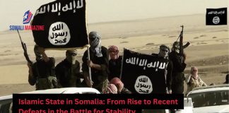Islamic State in Somalia: Origins, Rise, and Recent Defeats