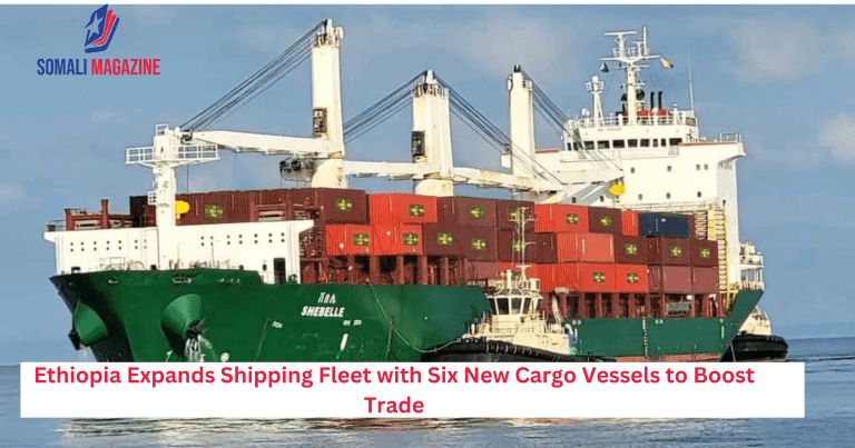 Ethiopia Expands Shipping Fleet with Six New Cargo Vessels to Boost Trade