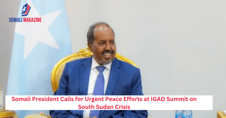 Somali President Calls for Urgent Peace Efforts at IGAD Summit on South Sudan Crisis