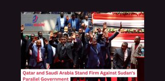 Qatar and Saudi Arabia Stand Firm Against Sudan's Parallel Government