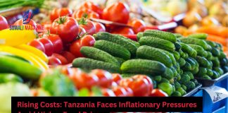 Tanzania’s Inflation Edges Up Amid Rising Food Prices