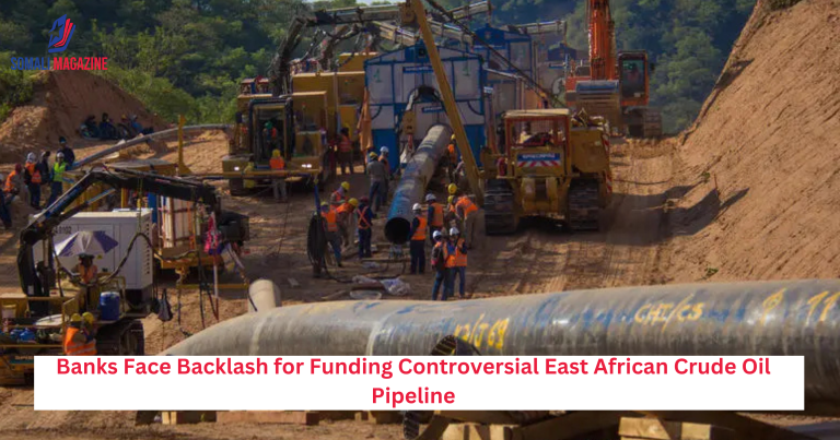 Banks Face Backlash for Funding Controversial East African Crude Oil Pipeline