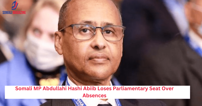 Somali MP Abdullahi Hashi Abiib Loses Parliamentary Seat Over Absences