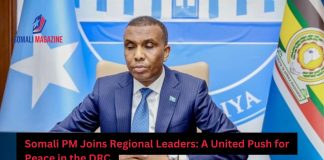 Somali PM Joins Regional Leaders in Push for Peace in DRC