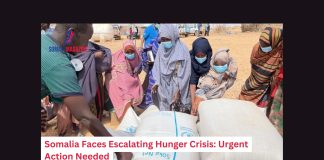 Somalia Faces Escalating Hunger Crisis as Drought and Funding Cuts Loom