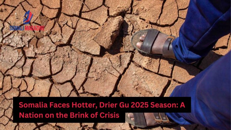 Somalia Braces for Hotter, Drier Gu 2025 Season Amid Food and Water Security Fears