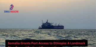 Somalia Grants Port Access to Ethiopia in Landmark Move to Ease Tensions
