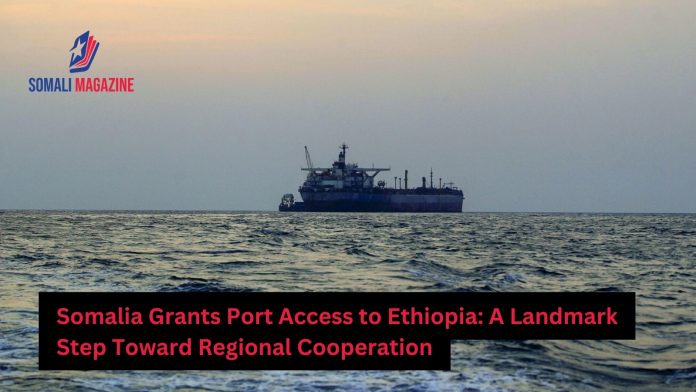 Somalia Grants Port Access to Ethiopia in Landmark Move to Ease Tensions