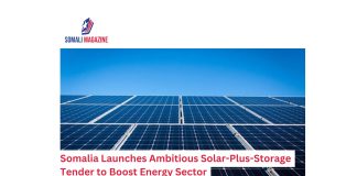 Somalia Launches Ambitious Solar-Plus-Storage Tender to Boost Energy Sector