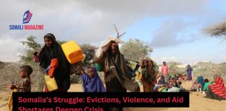 Somalia’s Humanitarian Crisis Deepens Amid Evictions, Violence, and Aid Shortages