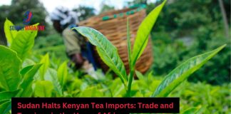 Sudan Tea Imports from Kenya Plummet Amid Regional Strife