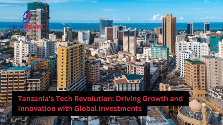 Tanzania Tech Hub Sparks Innovation with Global Venture Capital Influx