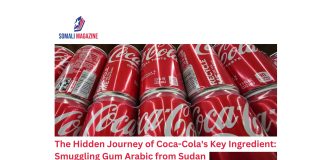 The Hidden Journey of Coca-Cola's Key Ingredient: Smuggling Gum Arabic from Sudan